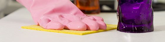 Swiss Cottage Carpet Cleaners Domestic cleaning Swiss Cottage Carpet Cleaners Domestic cleaning