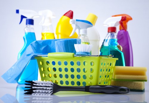 Professional carpet cleaning in a bright living room