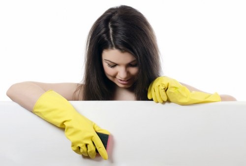 Home rug cleaning tools and gentle cleaning products